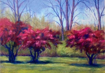 Crabapple Trees 11