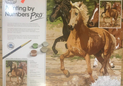 R&L paint by number pro Horses