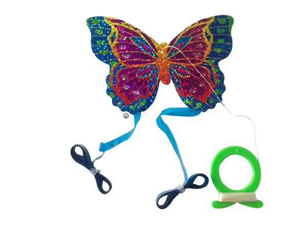 Colorful Kites Butterfly.png