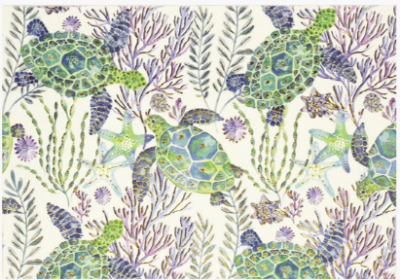 Sea Turtles-Boxed Note Card Set 