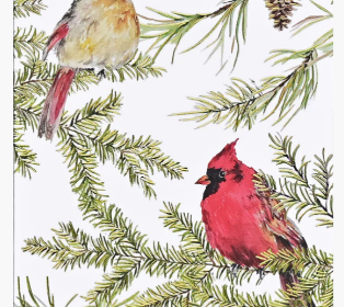 Cardinals in Evergreen Holiday Note Cards Boxed Set