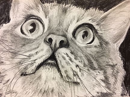 Crazy_Cat_SM.jpg