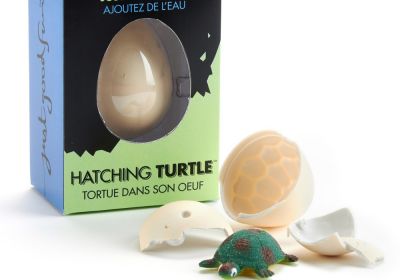 Hatch & Grow Sea Turtles