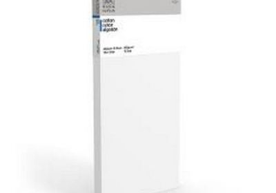 Winsor & Newton Deep Edge Canvas 12 x 24
