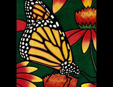 Dover Beautiful Butterflies Stained Glass Coloring Book