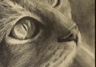 Cat Print One 5” x 7” w/Double White Mat 8” x 10”