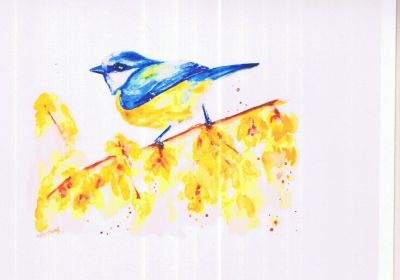 Blue Tit Spring card Yui Kinney Art