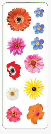 Flower_Stickers_6.PNG