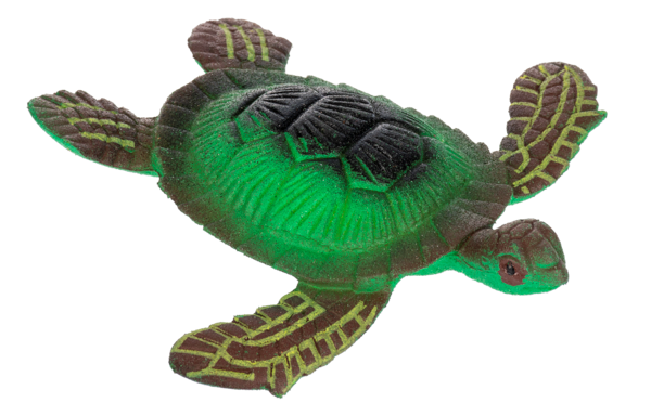 Grow a Sea Creature Sea Turtle.png