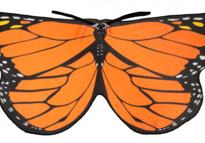 Kid's Butterfly Costume