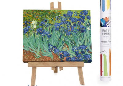 Paint by Numbers for Adults- Winnie's Picks- Irises Vincent Van Gogh