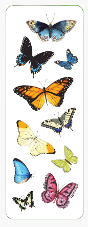 Butterfly_Stickers_5.PNG
