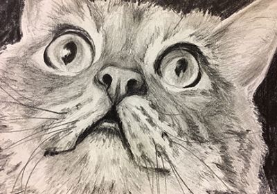 Cat Print Two 5” x 7” w/Double White Mat 8” x 10”