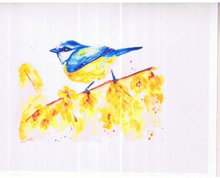 Blue_Tit_Spring.jpeg