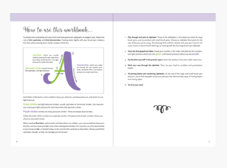Brush_Lettering_Workbook_2.PNG
