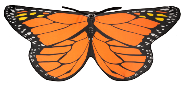 product-main-img-13169.png