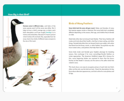 Birders_Logbook_4.PNG