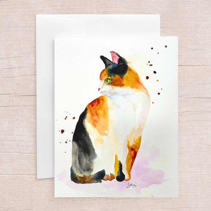 Calico_3.jpeg