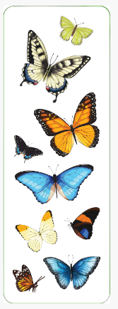 Butterfly_Stickers_6.PNG
