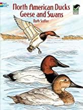 N. American Ducks Coloring Book