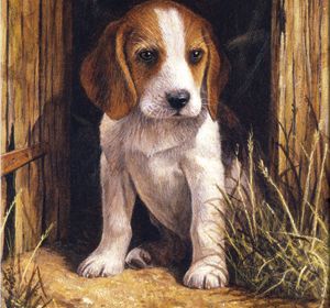 R&L Paint by Number Jr. Beagle Puppy