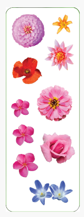 Flower_Stickers_5.PNG