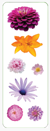 Flower_Stickers_4.PNG