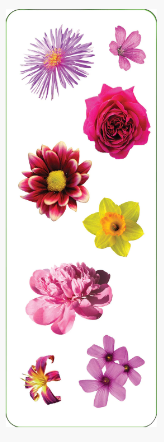Flower_Stickers_2.PNG