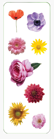 Flower_Stickers_3.PNG