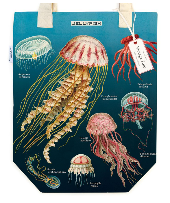 product-main-img-10631.png