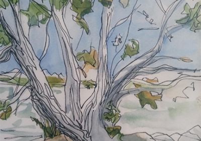 Watercolor Pen & Ink ws