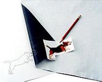 product-main-img-4489.jpg