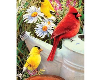 Garden Birds Mini PBN 5 X 7
