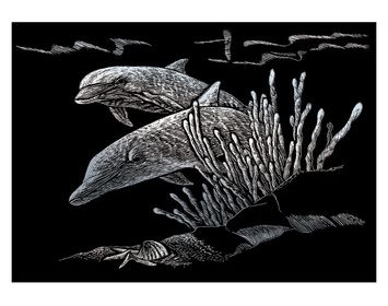 R&L engraving art small Dolphin Reef