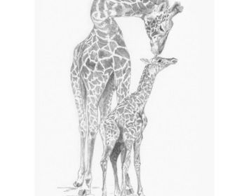 Sketching made easy giraffe