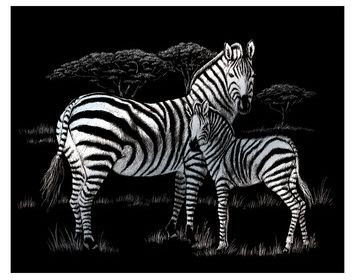 R&L  engraving art large Zebras