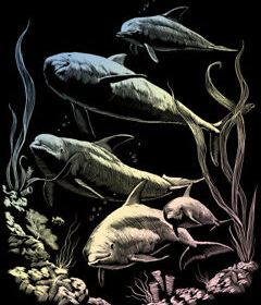 R&L Engraving Art Holographic Dolphins