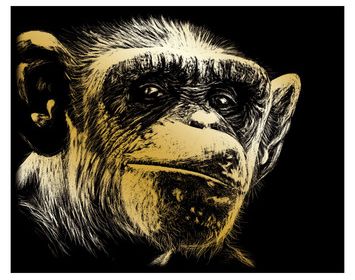 R&L Engraving Art Gold Chimp