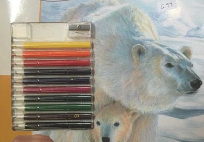 Polar Love