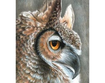 Color by # Cepia Owl