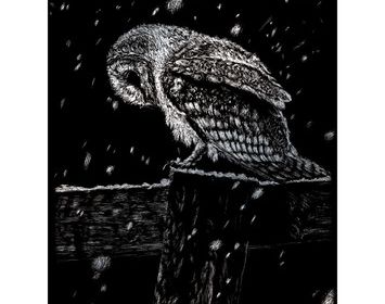 Silver Engraving Snowfall at Nightfall
