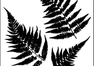 6 x 6  Stencil Mini Ferns