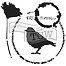 6 x 6 Stencil Thoughtful Bird