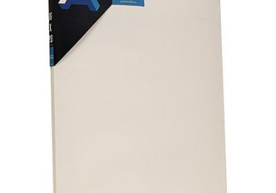 AA Studio Stretched Canvas 20 x 30