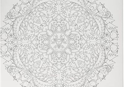 Johanna Basford Coloring Canvas Owl 12 x 12