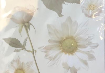 Embossed  Stickers White Flower