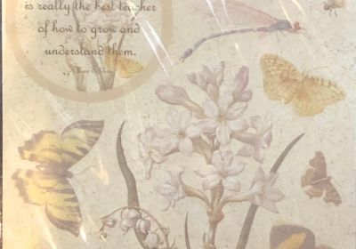 Embossed  Stickers Botanical Borders & Corners