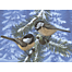 Painting by Numbers-Pine Birds