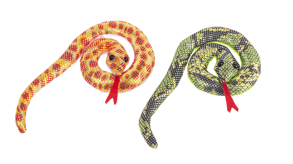 Rainforest_Snakes_1 - Copy.png