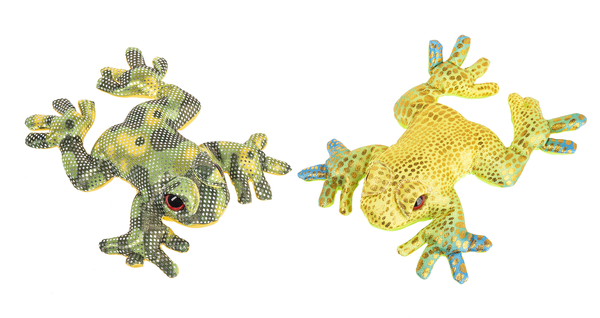 Rainforest_Tree_Frogs_1 - Copy.png
